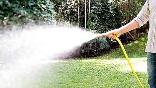 Rüyada Ağaç Sulamak Rüya Yorumu ve Anlamı