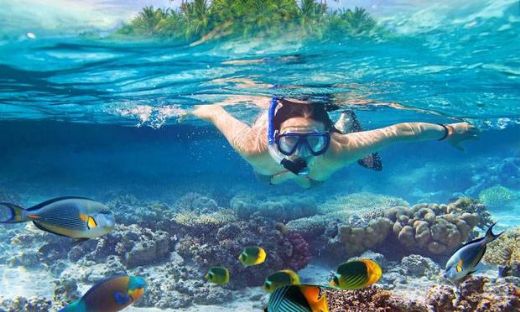 Rüyada Balıklarla Yüzmek Rüya Yorumu ve Anlamı