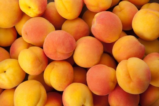 Rüyada Kayısı Ağacı Görmek Rüya Yorumu ve Anlamı