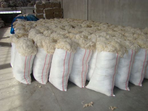 Rüyada Koyun Yünü Görmek Rüya Yorumu ve Anlamı