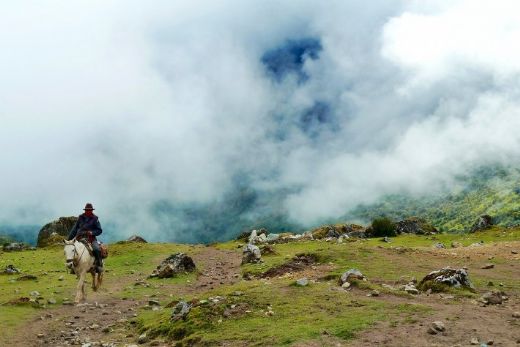 Rüyada Mavi At Görmek Rüya Yorumu ve Anlamı