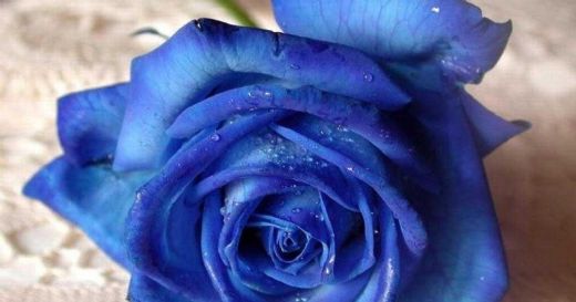 Rüyada Mavi Etek Giymek Rüya Yorumu ve Anlamı