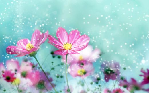 Rüyada Yapay Çiçek Görmek Rüya Yorumu ve Anlamı