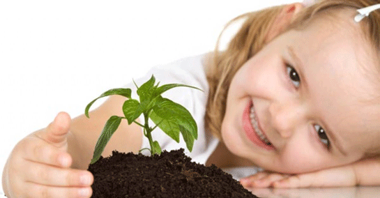 Rüyada Ağaç Dikmek Rüya Yorumu ve Anlamı