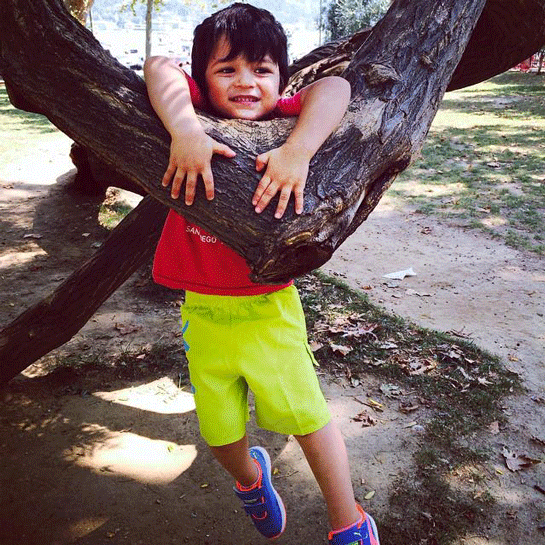 Rüyada Ağaca Çıkmak