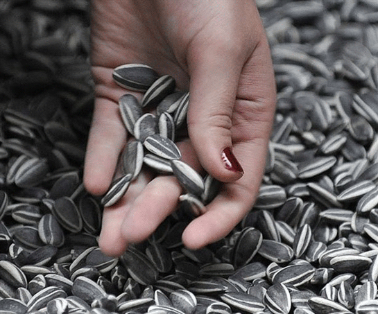 Rüyada Ayçekirdeği Yemek