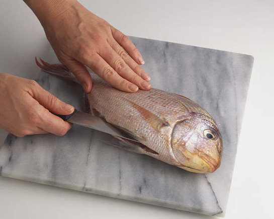 Rüyada Balık Ayıklamak Rüya Yorumu ve Anlamı