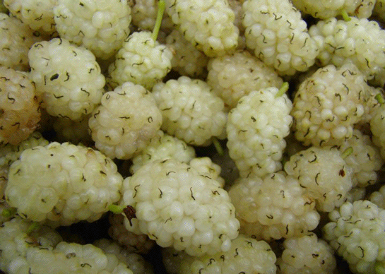 Rüyada Beyaz Dut Yemek