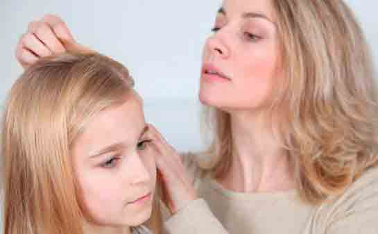 Rüyada Bit Ayıklamak Rüya Yorumu ve Anlamı