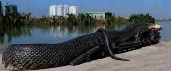 Rüyada Dev Yılan Görmek Rüya Yorumu ve Anlamı