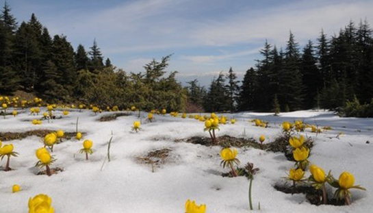 Rüyada Eriyen Kar Görmek Rüya Yorumu ve Anlamı