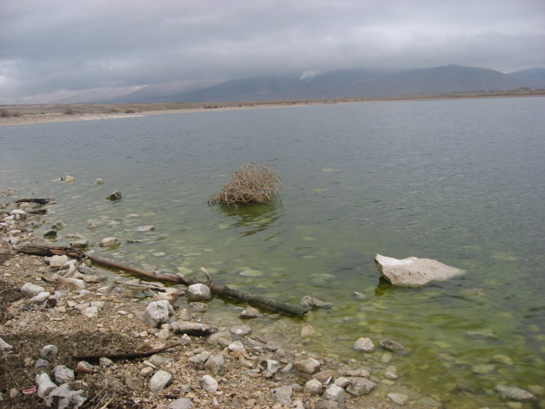 Rüyada Kirli Su Görmek