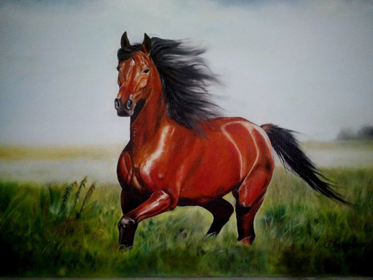 Rüyada Kırmızı At Görmek