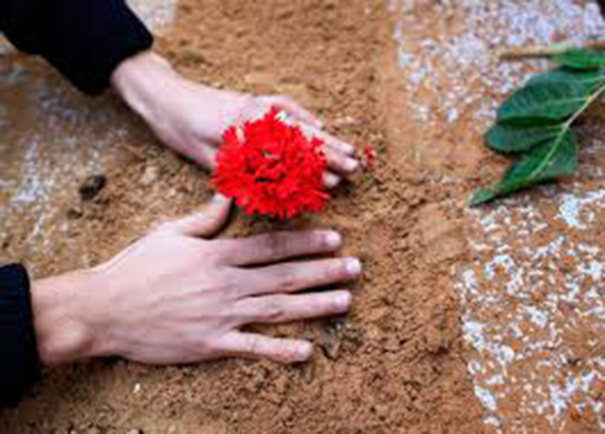 Rüyada Ölüyü Canlı Görmek Rüya Yorumu ve Anlamı