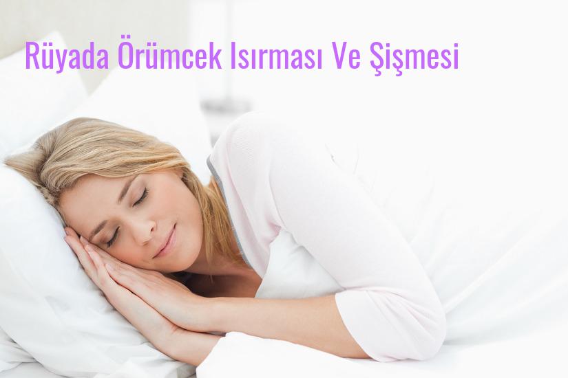 Rüyada Örümcek Isırması Ve Şişmesi Ne Anlama Gelir?