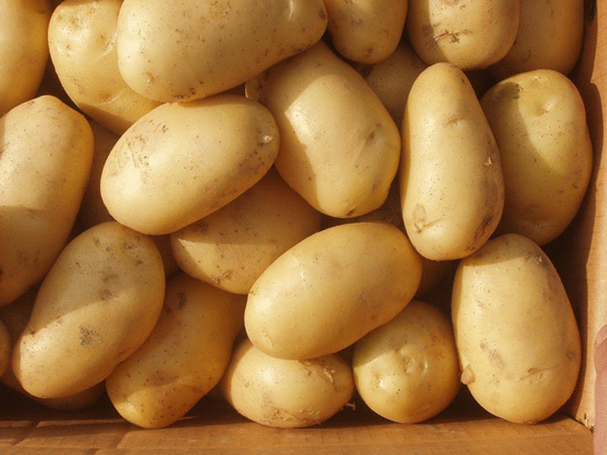 Ryada Patates Yemek