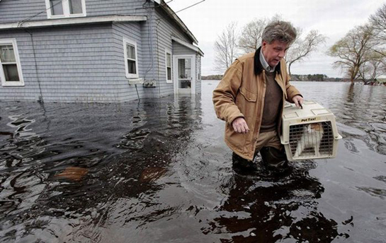 Rüyada Su Baskını Görmek