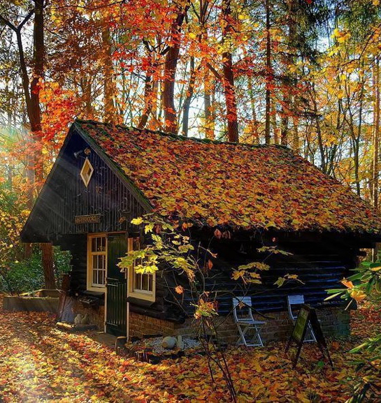 Rüyada Tozlu Ev Görmek