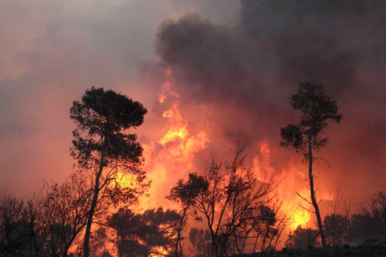 Rüyada Yangın Çıktığını Görmek Rüya Yorumu ve Anlamı