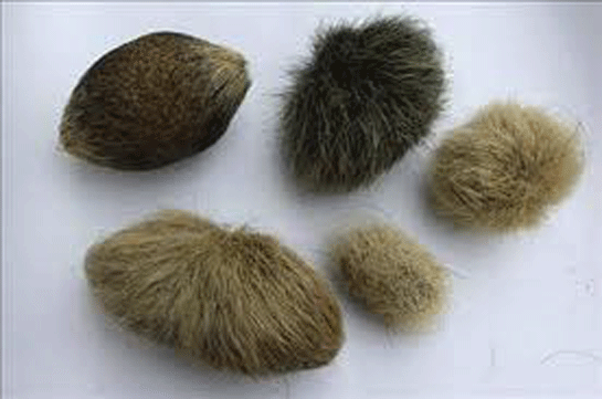 Rüyada Yemekten Kıl Çıkması