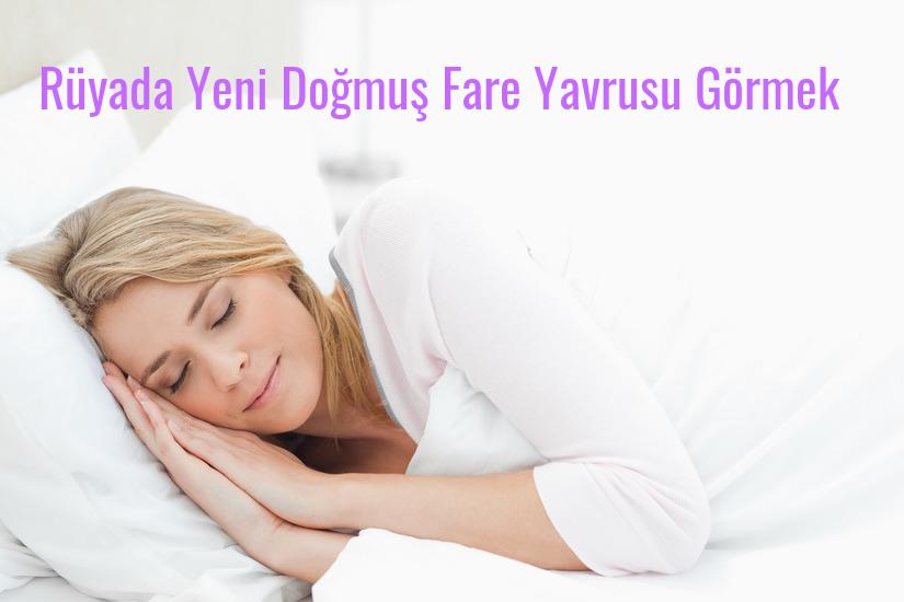 Rüyada Yeni Doğmuş Fare Yavrusu Görmek Ne Anlama Gelir?