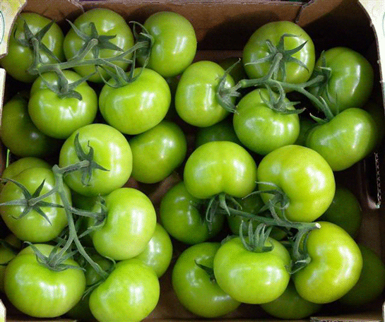 Rüyada Yeşil Domates Görmek