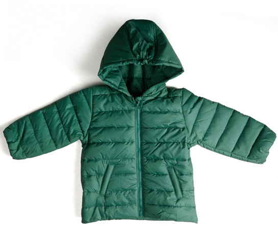 Rüyada Yeşil Mont Görmek