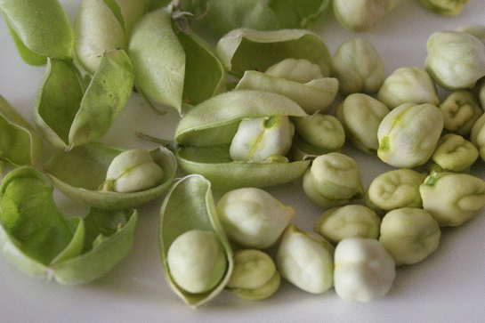 Rüyada Yeşil Nohut Yemek