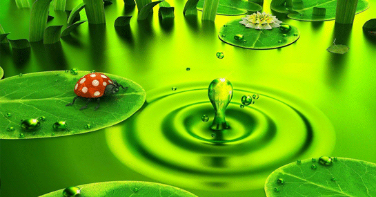 Rüyada Yeşil Su Görmek