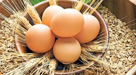Rüyada Yumurta Düşürmek